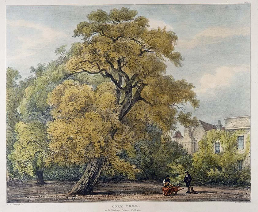 ©Fulham Palace Trust.  All rights reserved (3).jpg