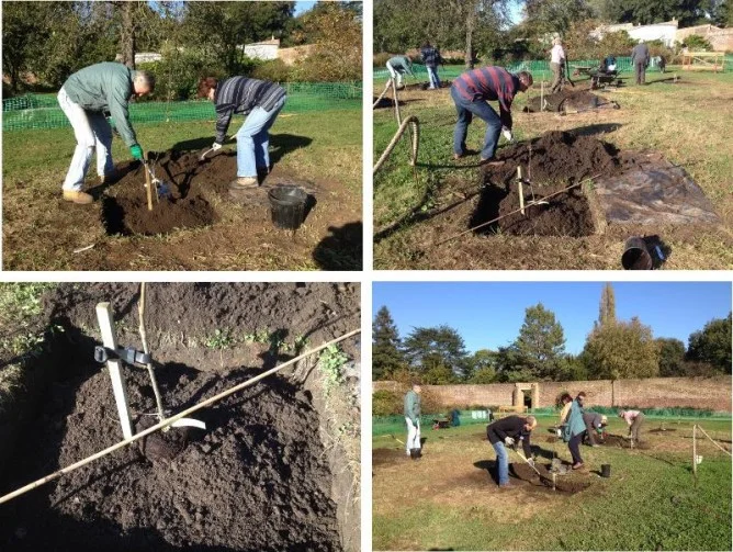 fulham_palace_tree_planting9-502x376.jpg