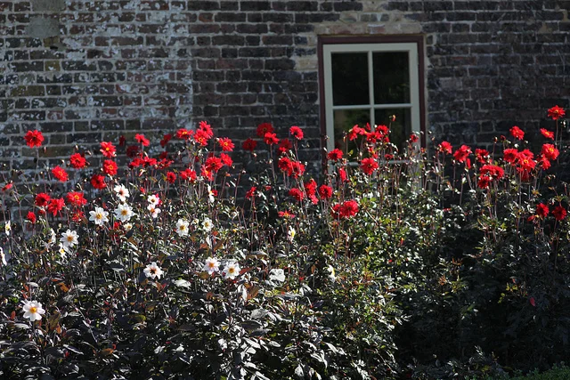 © Fulham Palace. All rights reserved (1).jpg