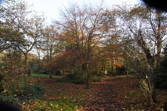 © Fulham Palace. All rights reserved (8).jpg