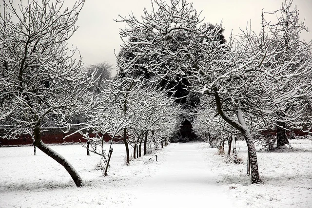 © Fulham Palace. All rights reserved (10).jpg