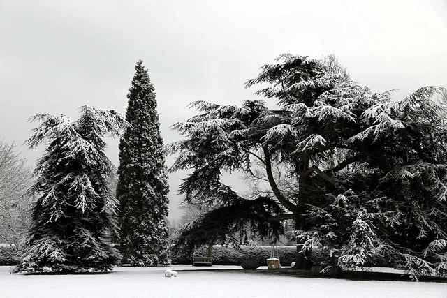 © Fulham Palace. All rights reserved (12).jpg