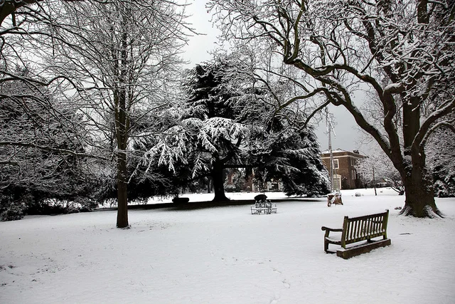 © Fulham Palace. All rights reserved (11).jpg