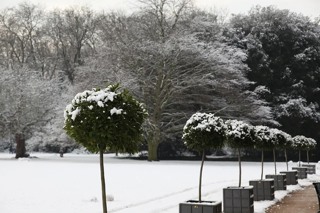 © Fulham Palace. All rights reserved (13).jpg