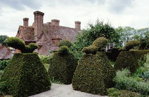 Dixter 3.png