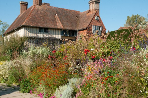 Dixter 1.png