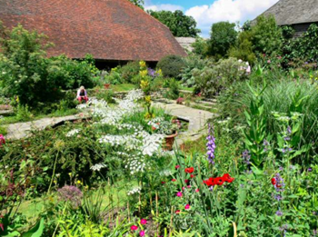 Dixter 2.png