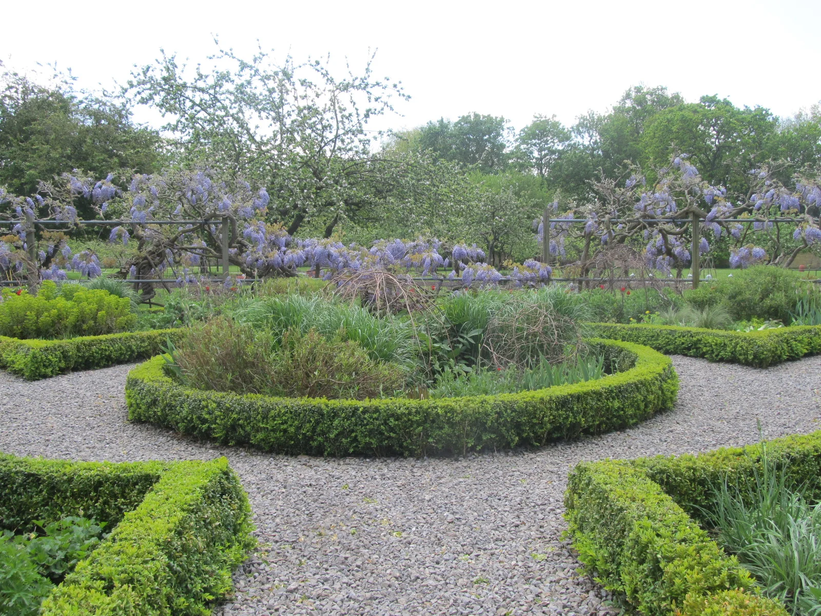 garden5.jpeg