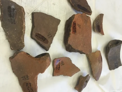 labeled sherds.JPG