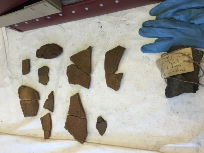 matching broken sherds.JPG