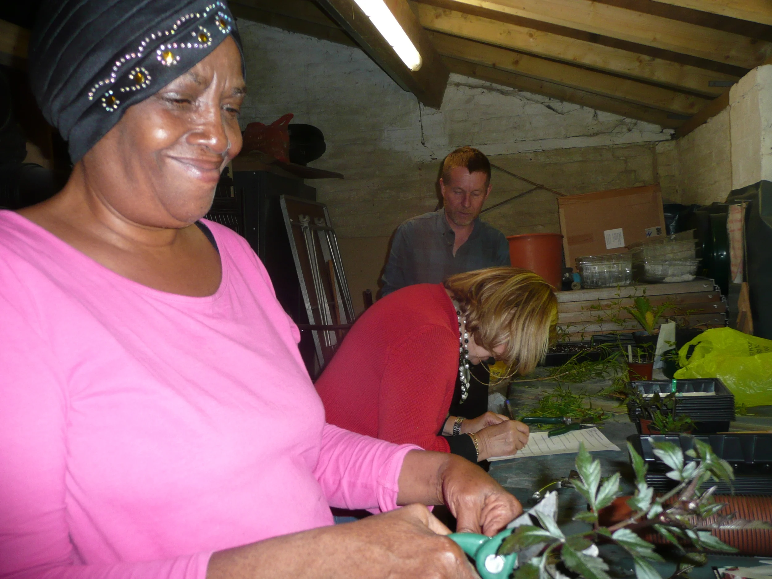plant cuttings 2.jpg