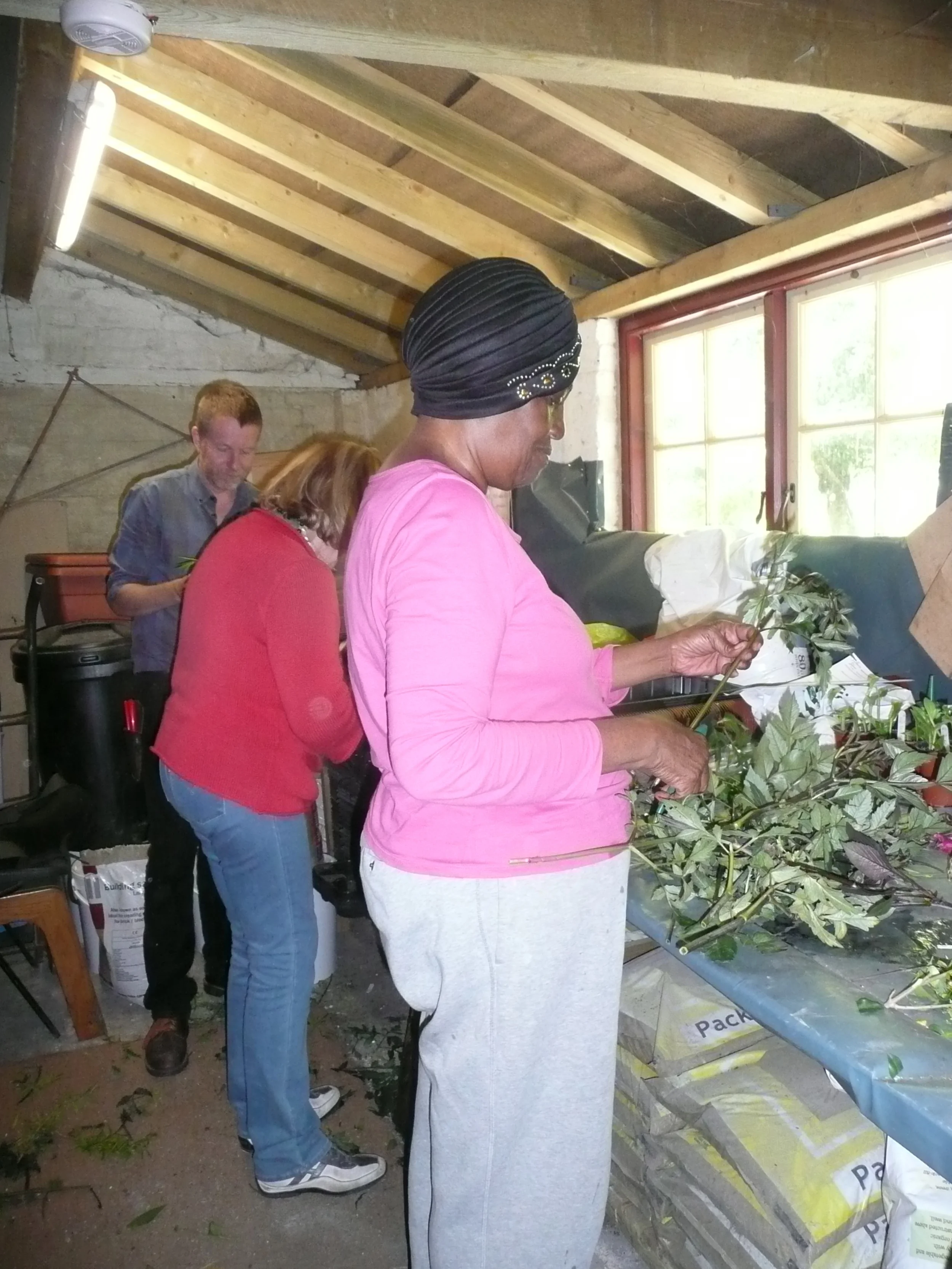 plant cuttings 1.jpg