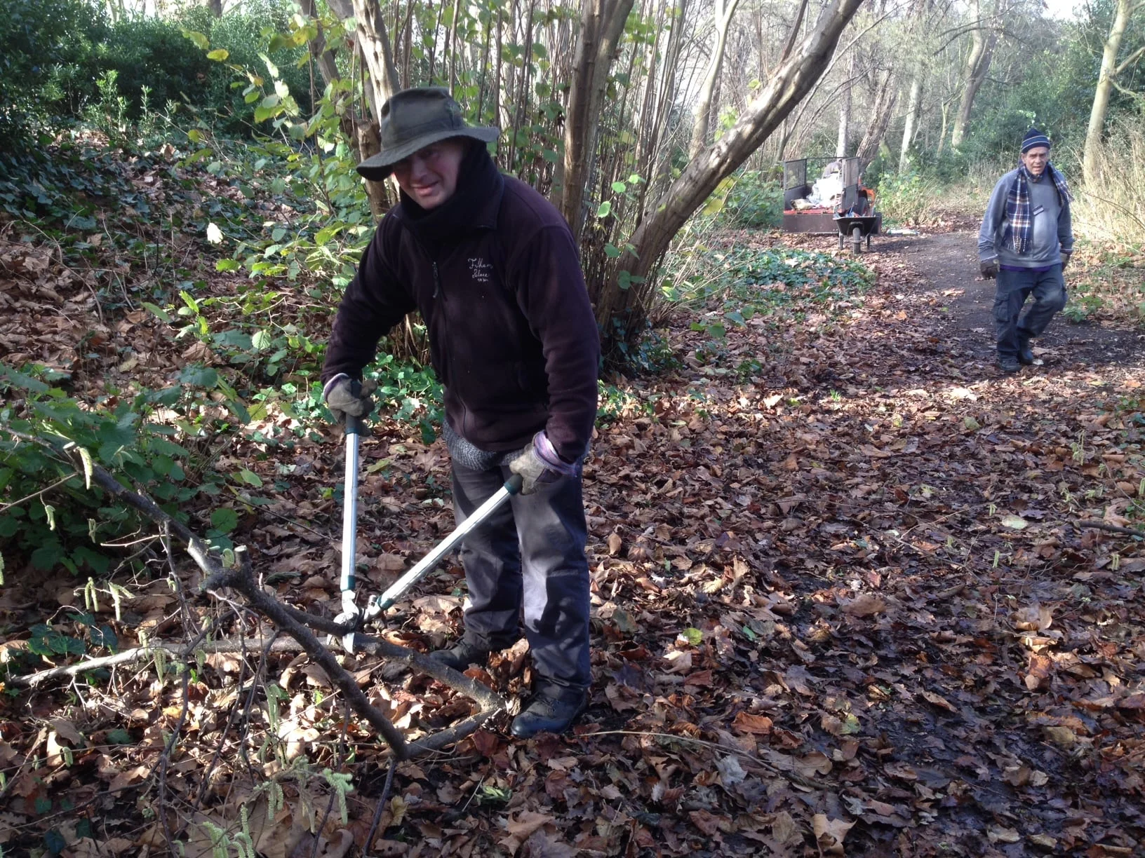 fulham_palace_coppicing (3).jpg
