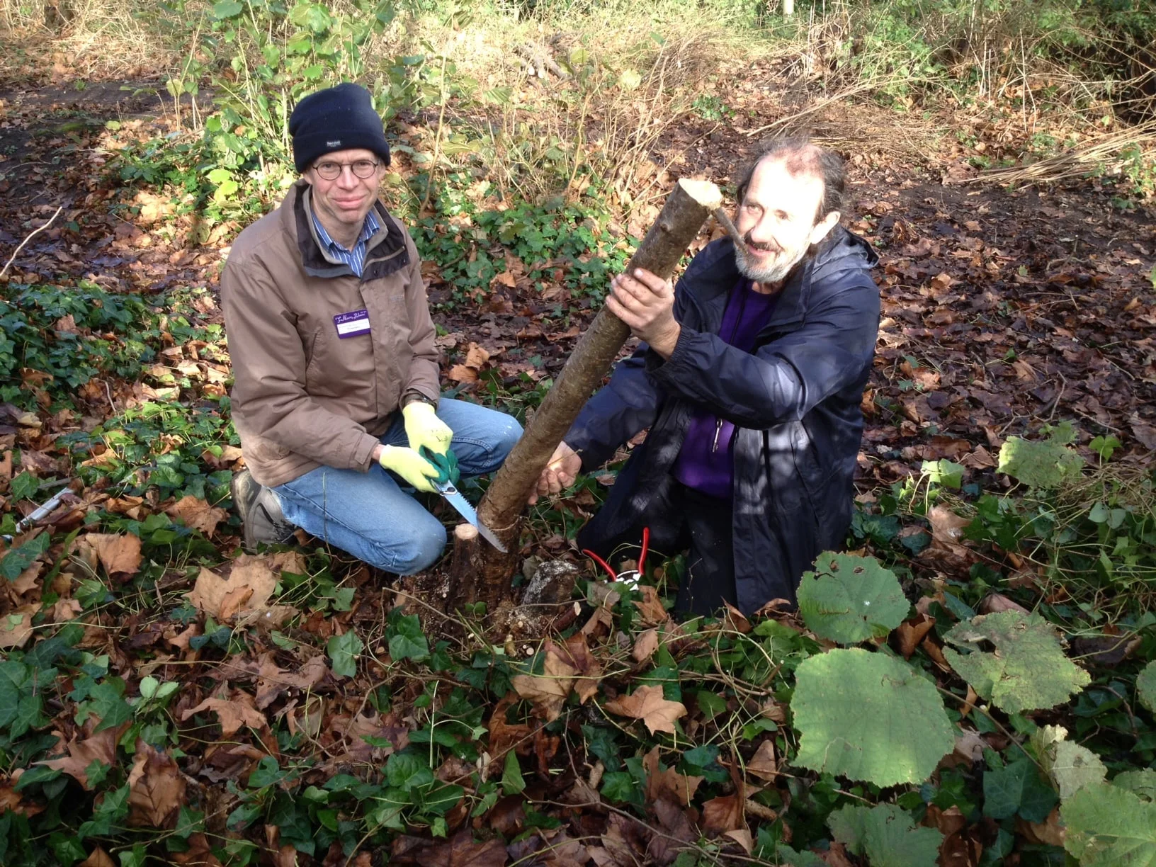 fulham_palace_coppicing (5).jpg