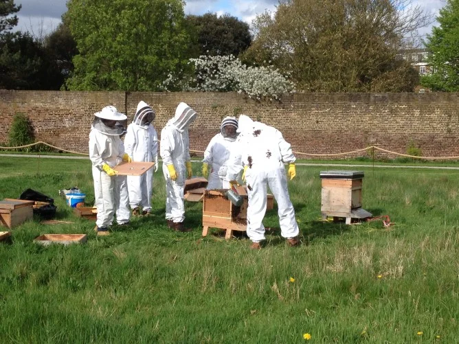 Bee Keeping Workshop