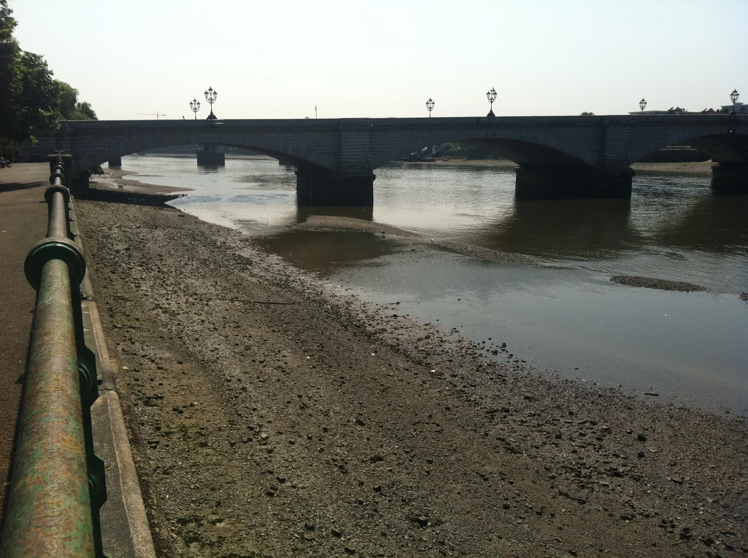 Thames Foreshore at Fulham