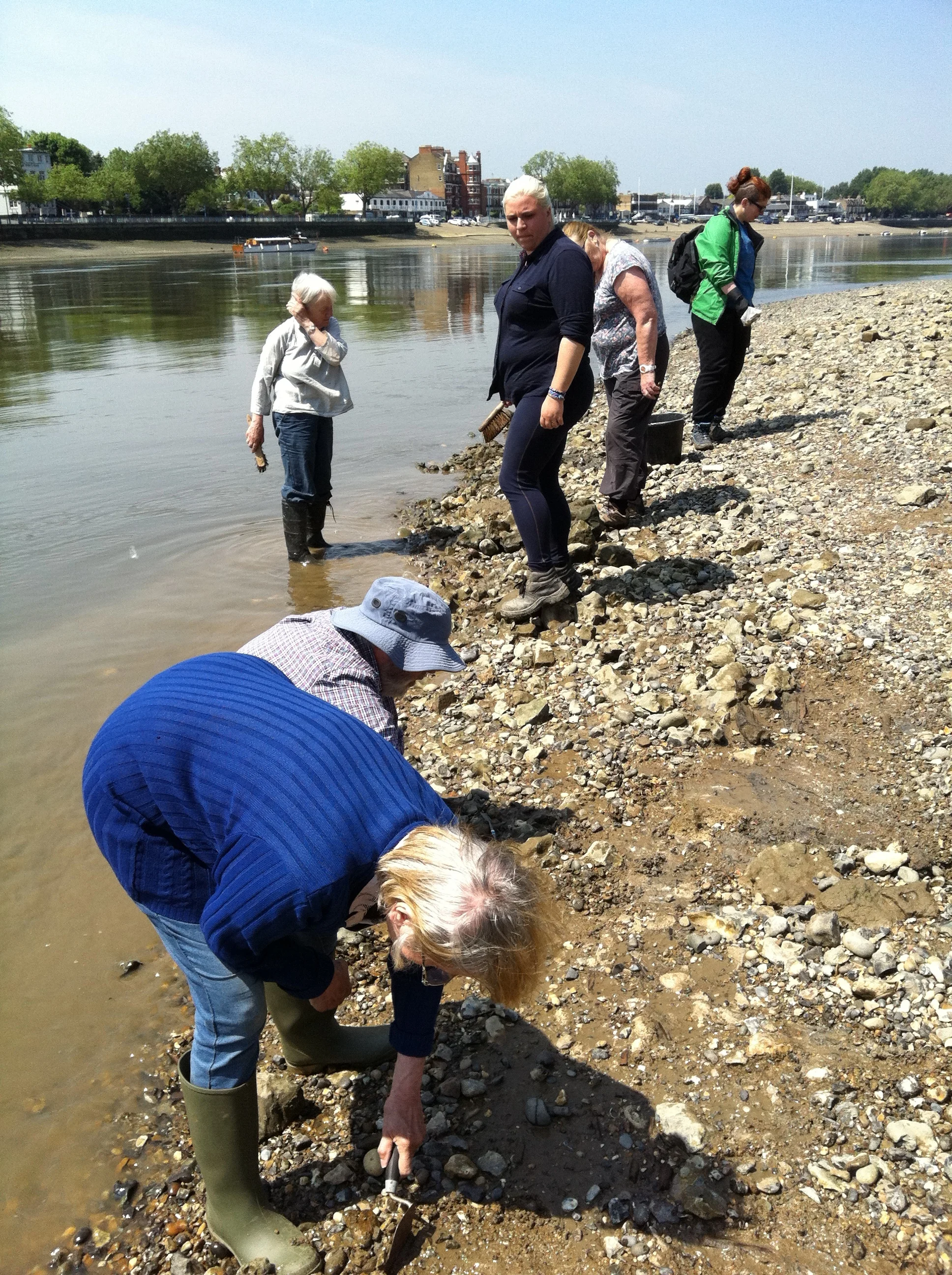 The Fulham FROG team