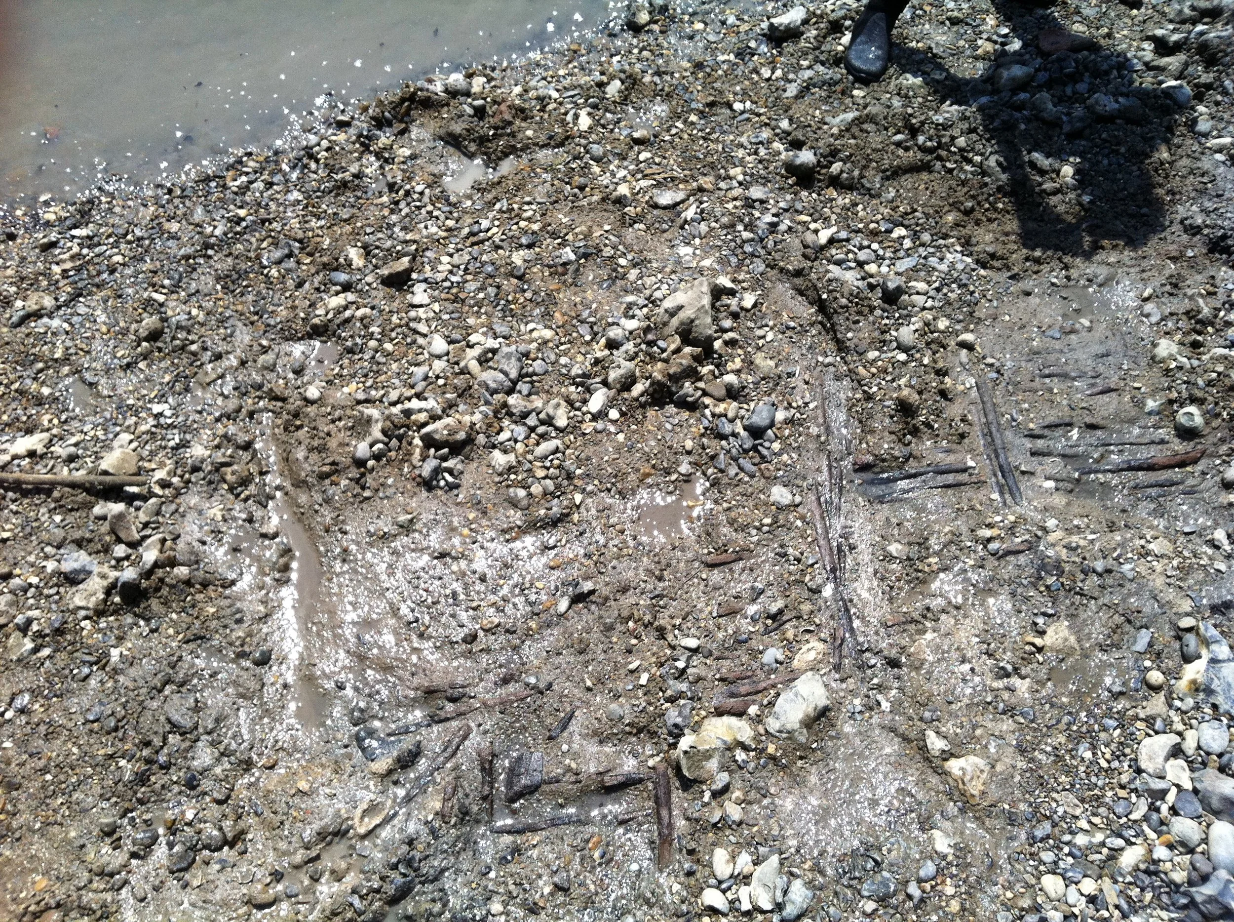 The Wattle or Early Saxon Fish Trap