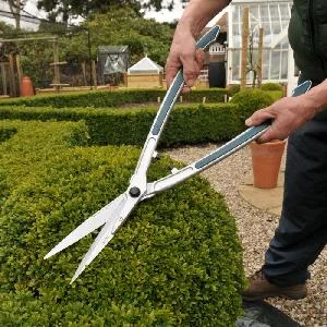 Whilst on the subject of secateurs, can someone please explain why we can roam the garden at will armed with secateurs, shears, long handles etc. without HASP (see above) seeming to lose any sleep?
