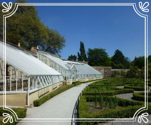Jamie's Gardening Conundrum