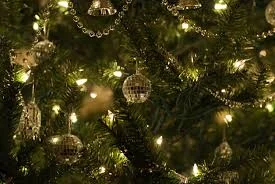 Volunteer Christmas Party 2016