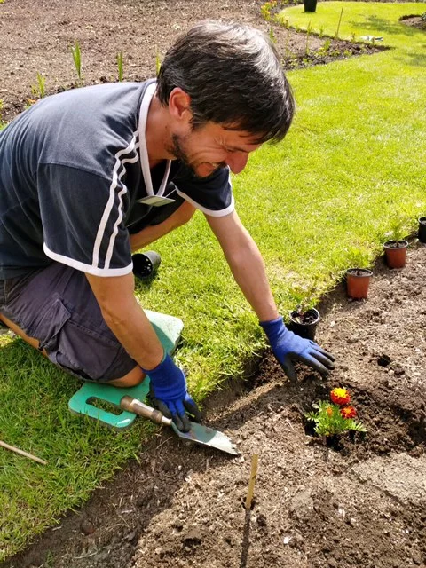 Planting Marigolds to help ward off pests