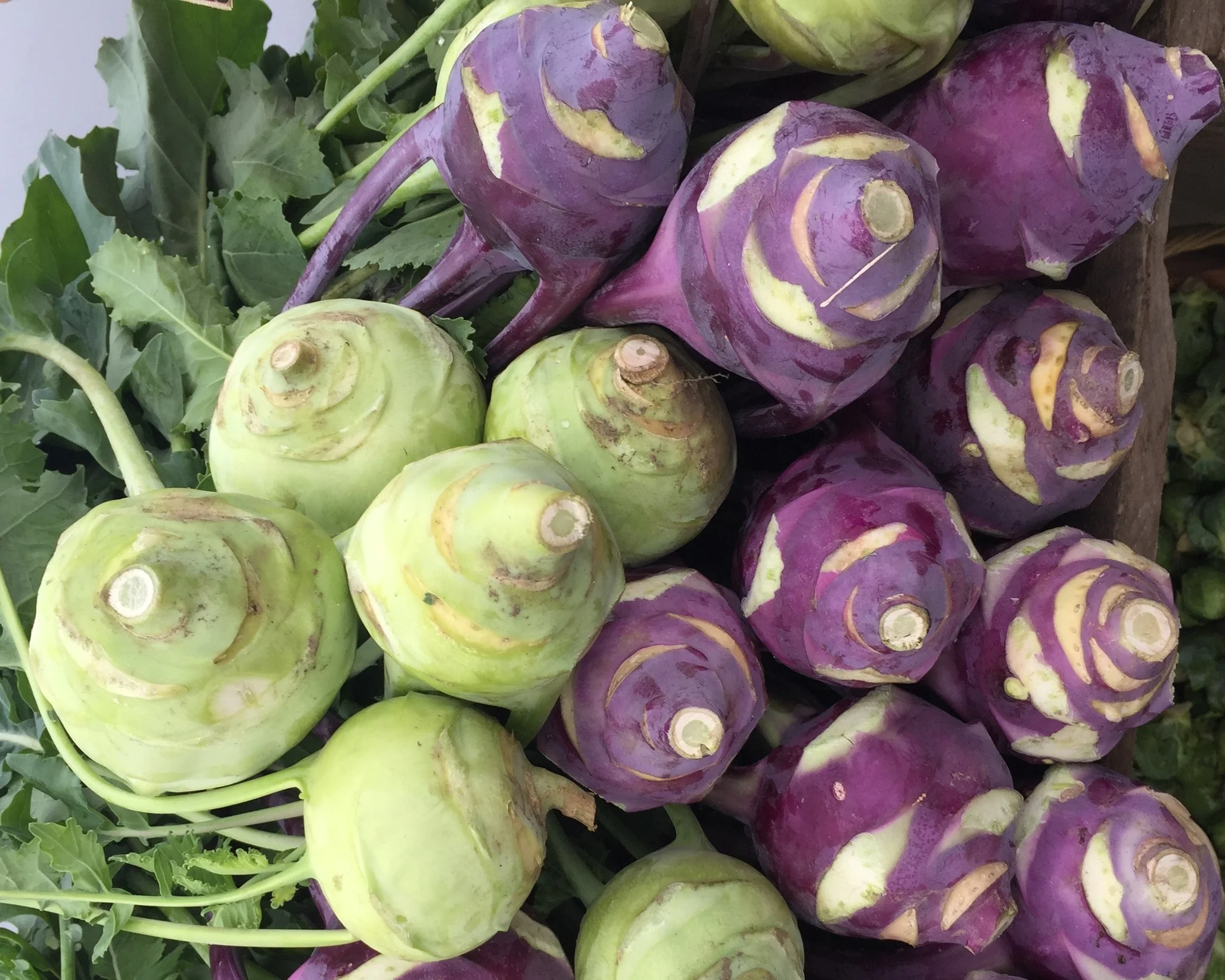 Recipe of the Month - July
