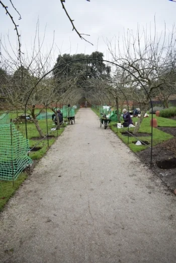 Apple Arch Digging Group