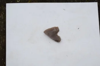 A Piece Of Struck Flint Dug Up From The Pit!