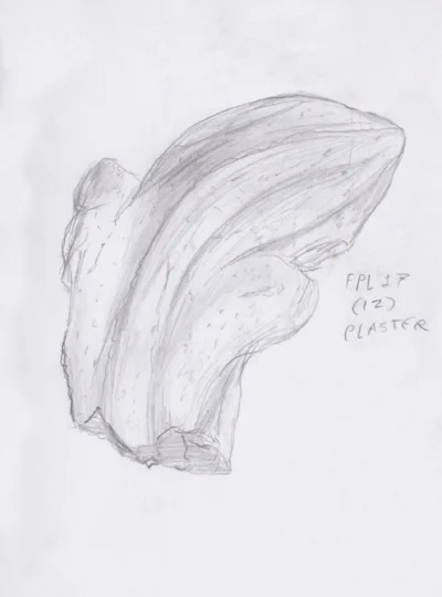 FPL 17 DC Plaster 2.jpg