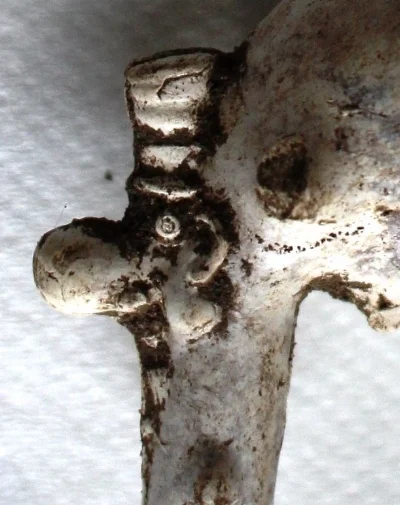 Ally Sloper, a famous comic, depicted on this clay pipe