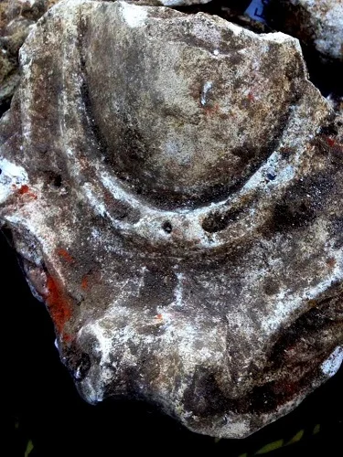 Decorated plaster resembling Tudor moulded plasterwork, found by local Brownies at Fulham Palace