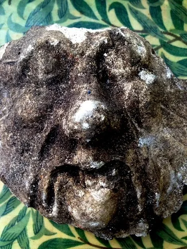 Plasterwork mask with a moulded face, thought to be the 'Green Man',&nbsp; found by an Archaeology Volunteer at Fulham Palace.