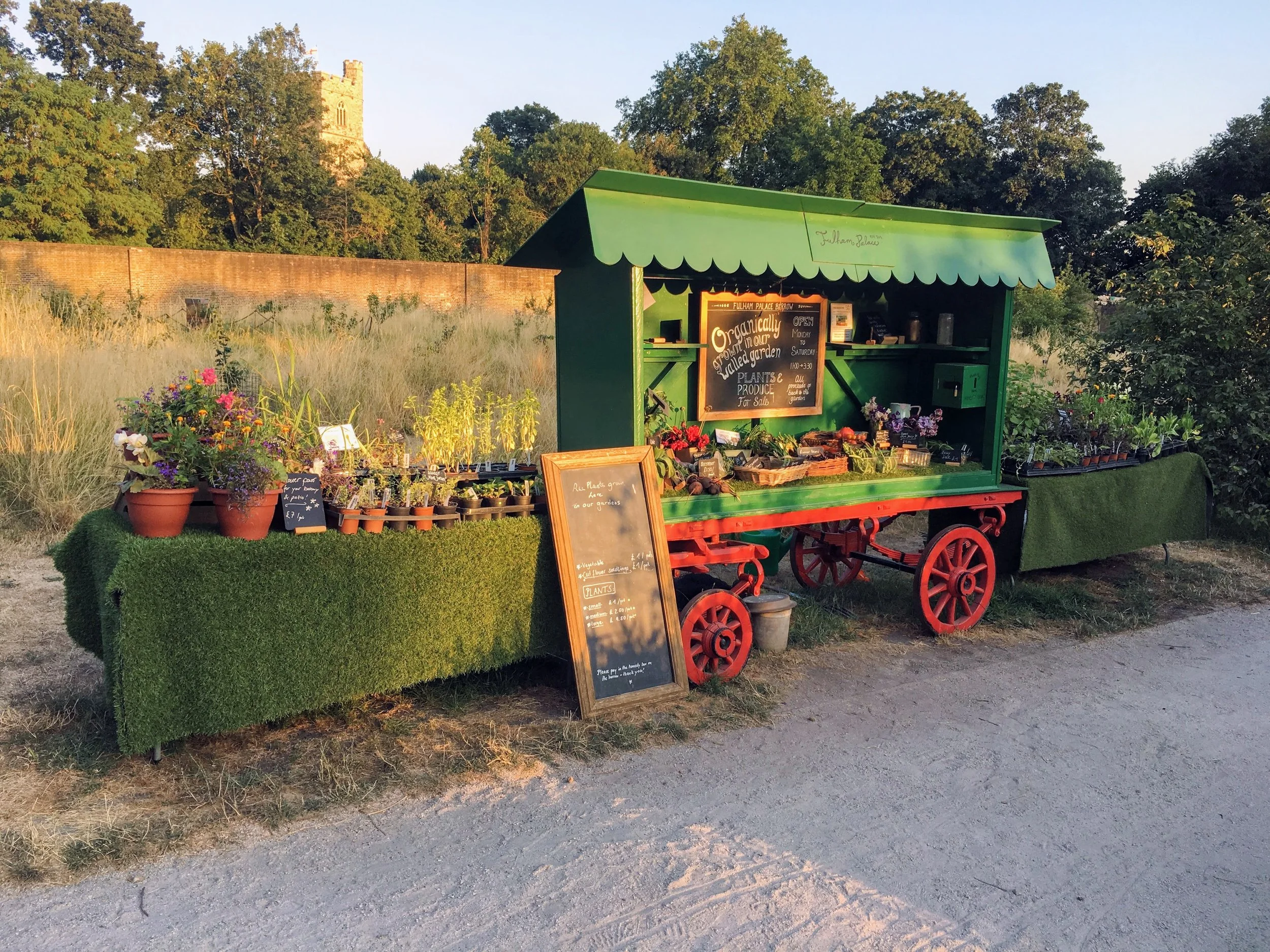 Volunteer Summer Garden Party Pics 2018_K McCulloch (1).JPG