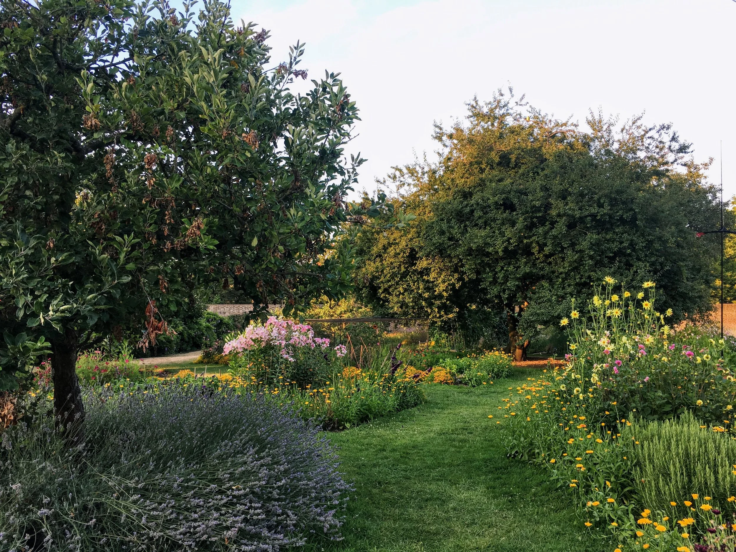 Volunteer Summer Garden Party Pics 2018_K McCulloch (27).JPG