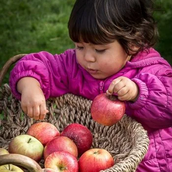 Apple Day will be back this Sunday, 7th October!