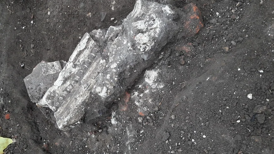 The was found by YAC (the Young Archaeologists Club), and is a huge chunk of cornice with a simple beaded pattern.