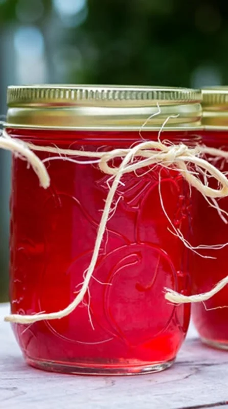 crab-apple-jelly-alamy-eyeacx-290x520.jpg