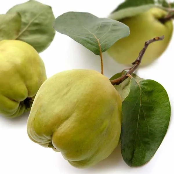 Recipe of the Month - Crab Apples and Quince