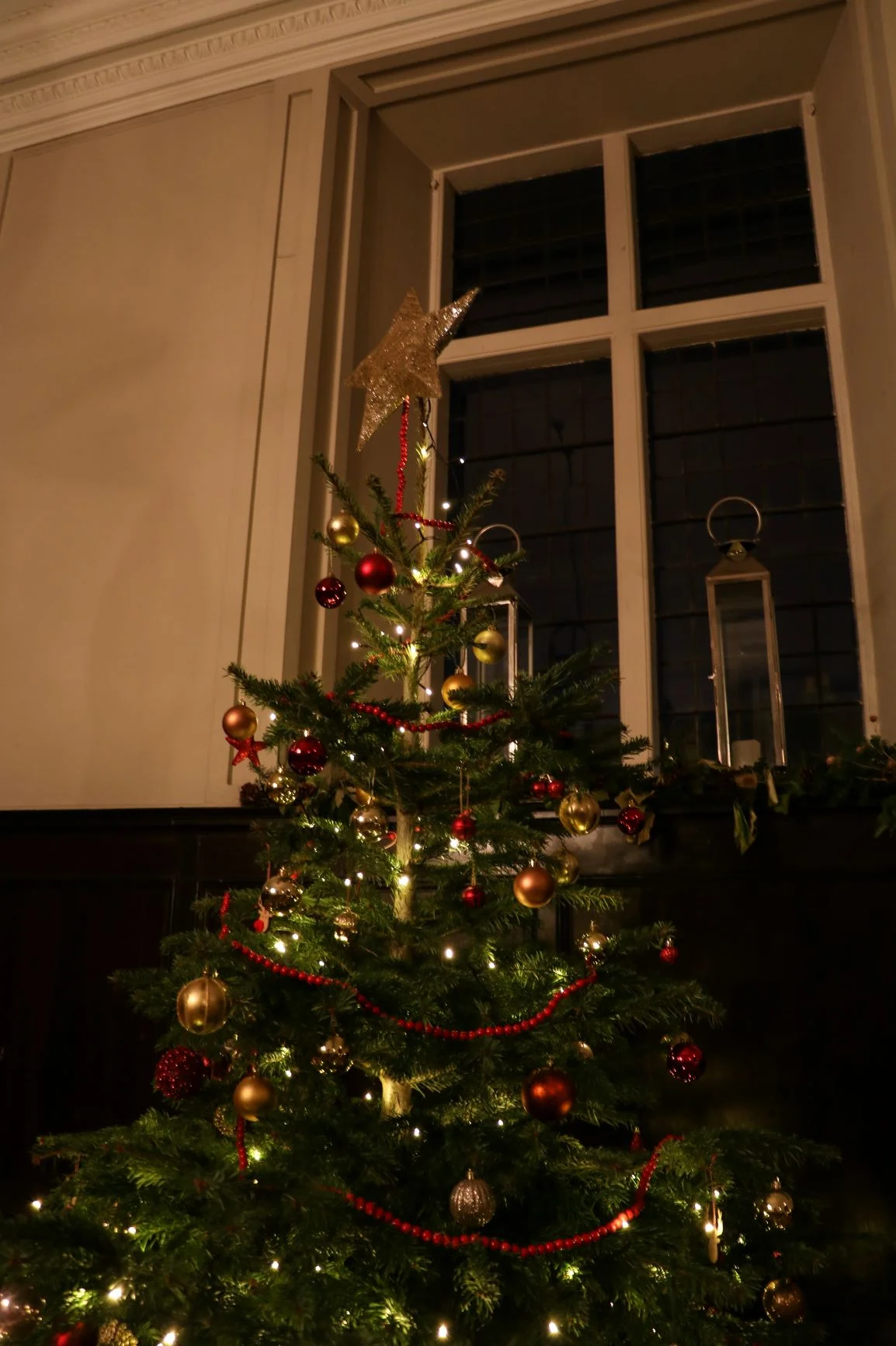 Christmas Tree.jpg