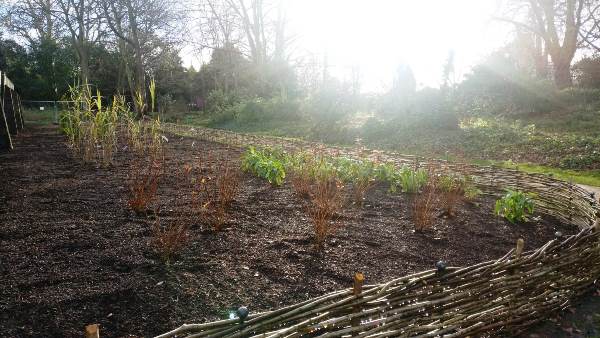 The Compton Border with Volunteer and Staff Made Wattle Fence
