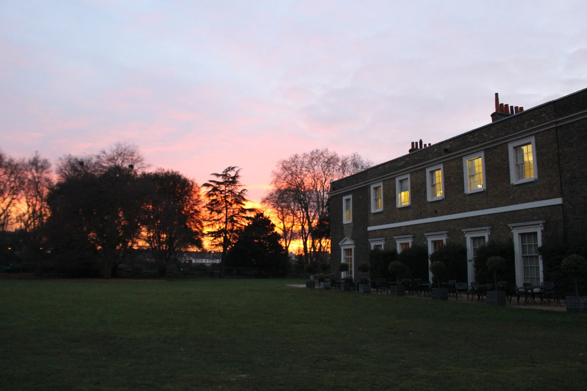 Specimen of the Month: Our Main Lawn