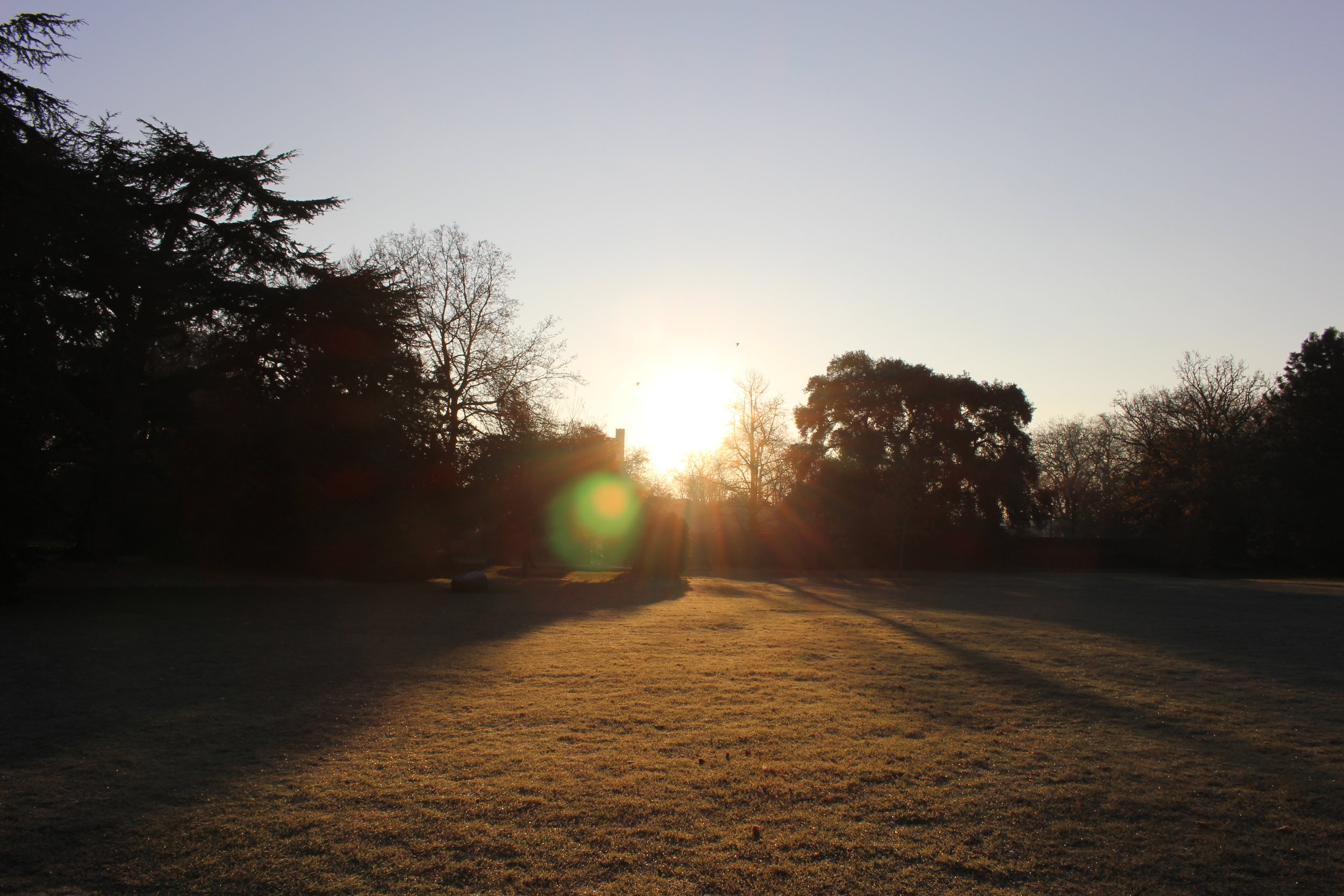 Copyright Fulham Palace photo by Neil Hassall (8).JPG