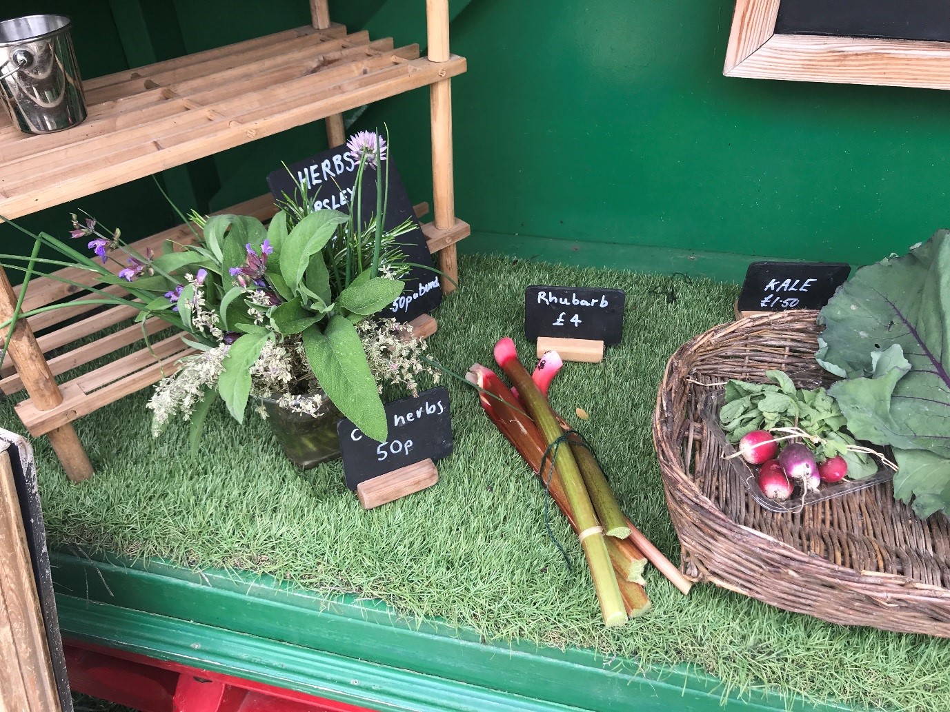 Rhubarb 1.jpg
