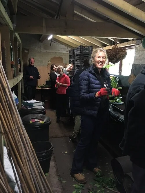 Garden volunteers learning about taking cuttings