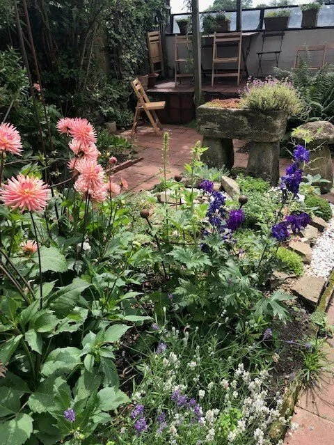 Emery Walker Garden from Volunteers Trip, 03.07.2019.jpg