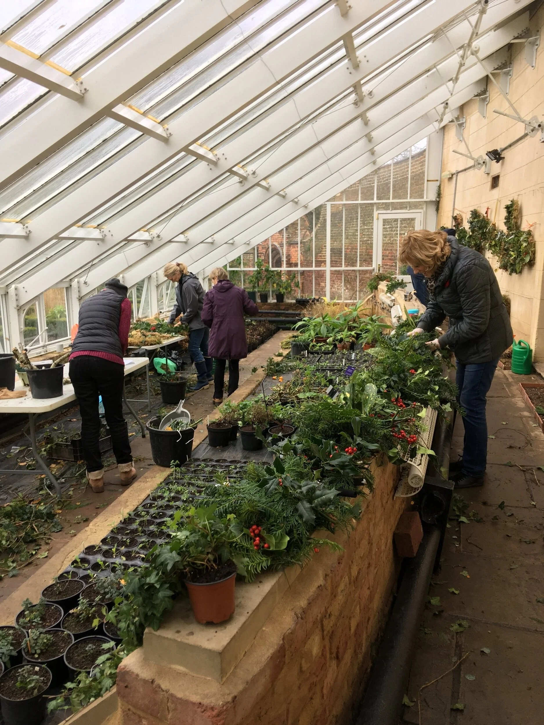 Garden volunteers learning how to make wreaths in the Walled Garden vinery this December