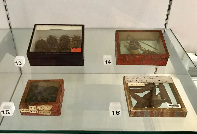 The loans on display in the Fulham Palace museum