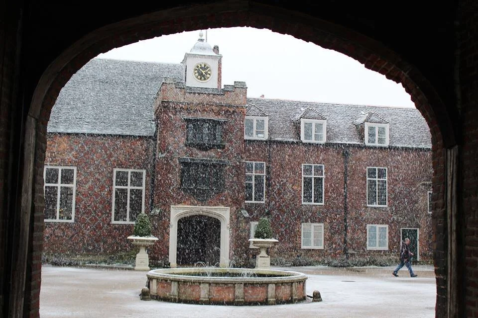 Thank you to Lee Copeland for this wonderful blog. Please send your ideas for object or specimen of the month blogs to rachel.bagnall-bray@fulhampalace.org. If you would like some help, please let me know.