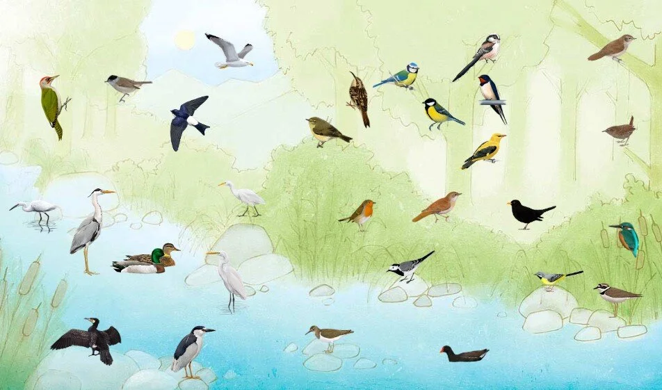Virtual bird song.jpg